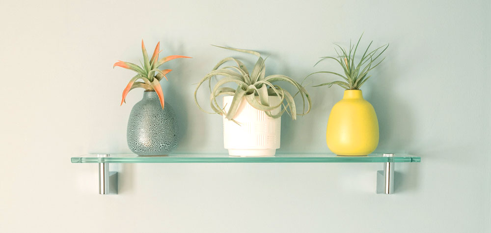 Three decorative plants in modern pots on a glass shelf against a light blue wall, showcasing stylish home decor for remodeling inspiration.