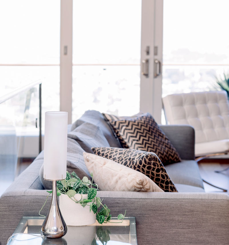Modern living room with a gray sofa adorned with patterned pillows, a sleek table lamp, and decorative plants, emphasizing stylish home improvement and interior design.