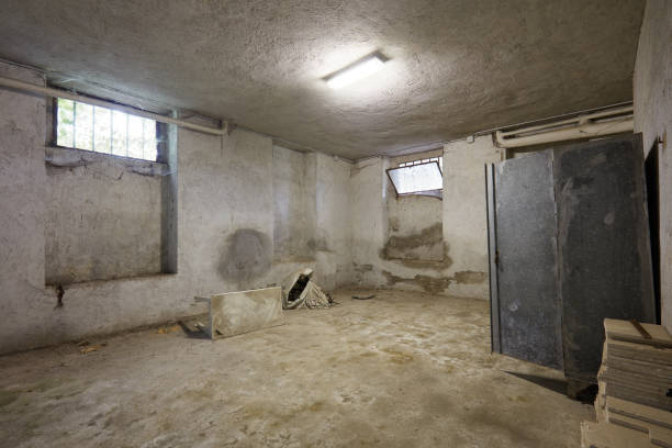 What Are the Common Problems in Basement Finishing and How Can They Be Avoided?